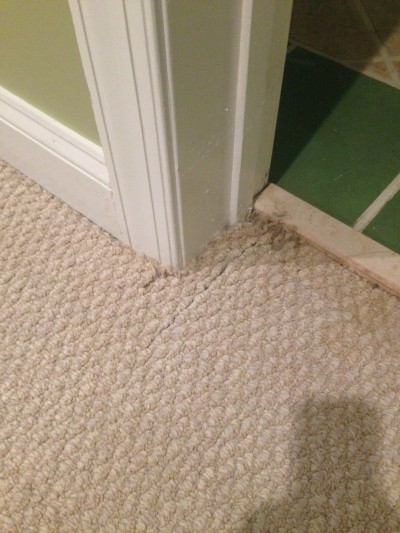 carpet pet damage 