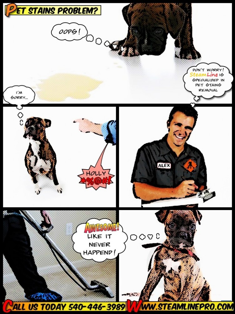 SteamLine carpet cleaning comics pet stains and odor removing Stafford VA and Fredericksburg VA