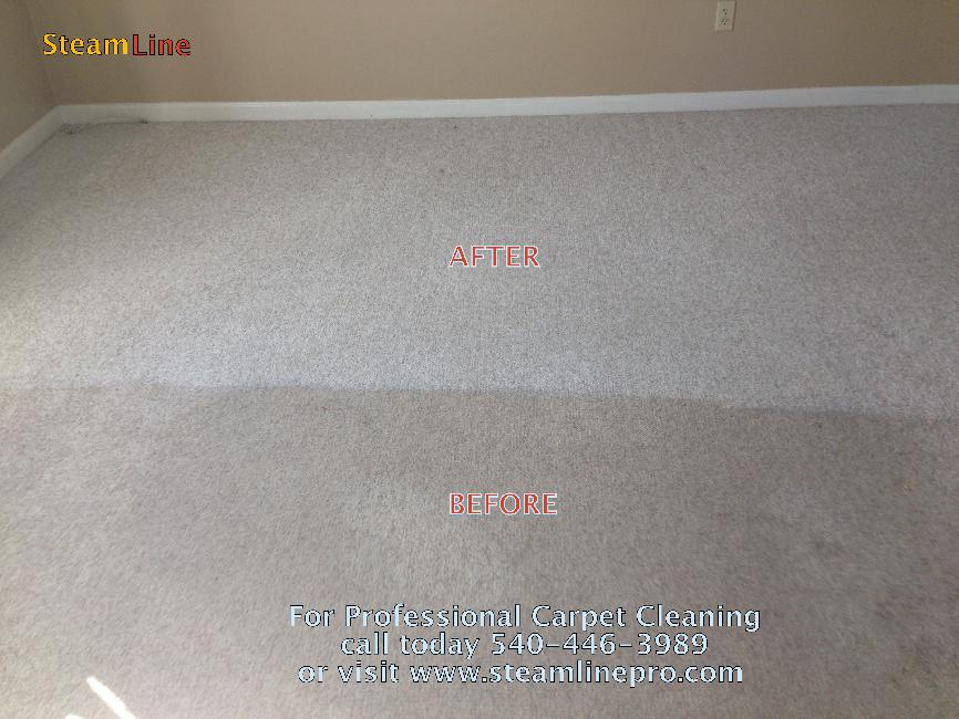 professional carpet cleaning service in Fredericksburg VA and Stafford VA area