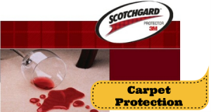 carpet protection service in Fredericksburg and Stafford VA