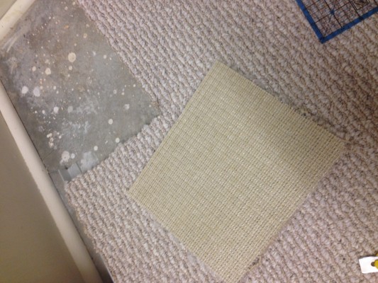 we take peace of carpet from closet to patch carpet damage